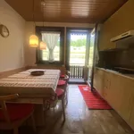 Rent 1 bedroom apartment of 50 m² in San Vito di Cadore