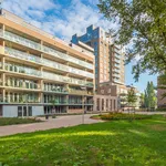 Huur 3 slaapkamer appartement van 76 m² in Den Haag