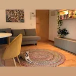 Alquilar 1 dormitorio apartamento en barcelona