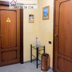 Rent 2 bedroom apartment of 61 m² in Nettuno