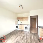 Rent 1 bedroom apartment of 37 m² in Děčín