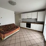 Rent 1 bedroom apartment of 45 m² in udine