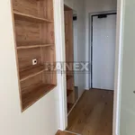 Rent 1 bedroom apartment of 26 m² in Capital City of Prague