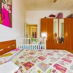 Rent 2 bedroom apartment of 80 m² in Lodi