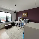 Huur 1 slaapkamer appartement in Deurne