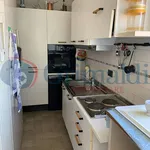 Rent 2 bedroom apartment of 60 m² in Padua