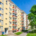 Rent 2 bedroom apartment of 59 m² in Chemnitz