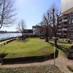 Rent 1 bedroom apartment of 80 m² in Maastricht