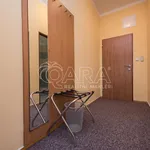 Rent 1 bedroom apartment of 25 m² in Capital City of Prague