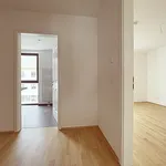 Rent 5 bedroom apartment of 141 m² in Leipzig