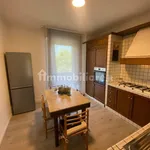 Rent 4 bedroom apartment of 142 m² in Modena