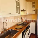 Rent 2 bedroom apartment of 55 m² in Prato