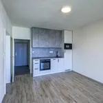 Rent 2 bedroom apartment in Pilsen