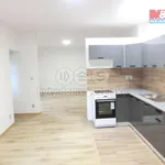 Rent 2 bedroom apartment of 57 m² in Benátky nad Jizerou