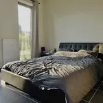 Rent 1 bedroom apartment in Gent Ledeberg