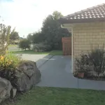 Rent 4 bedroom house in Tauranga