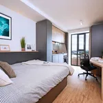 Rent 1 bedroom apartment in Coventry