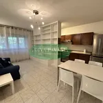 Rent 2 bedroom apartment of 55 m² in San Donato Milanese