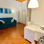 Rent 1 bedroom apartment of 30 m² in florence