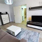 Rent 2 bedroom apartment of 52 m² in Brasov