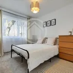 Rent 1 bedroom apartment in Brighton