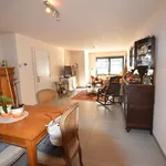  appartement avec 2 chambre(s) en location à Zottegem