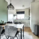 Rent 2 bedroom apartment of 72 m² in breda