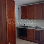 Rent 3 bedroom apartment of 50 m² in Isernia