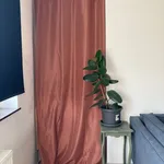 Rent 2 bedroom house in Gent