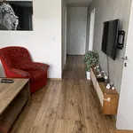 Rent 4 bedroom apartment of 66 m² in Ostrava