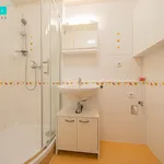 Pronajměte si 1 ložnic/e byt o rozloze 33 m² v Olomouc