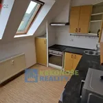 Rent 3 bedroom apartment in Radvanice