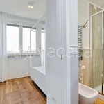 Rent 3 bedroom apartment of 120 m² in Roma