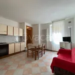 Rent 2 bedroom apartment of 35 m² in Recoaro Terme