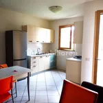 Rent 2 bedroom apartment of 50 m² in Piacenza