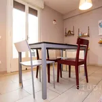 Rent 3 bedroom apartment of 80 m² in Pistoia