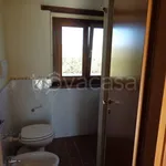 Rent 4 bedroom house of 65 m² in Treia