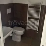 Rent 3 bedroom apartment of 97 m² in Torino