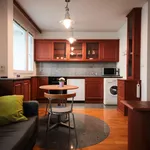 Rent 1 bedroom apartment of 30 m² in Prague