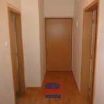 Rent 3 bedroom apartment of 63 m² in České Budějovice