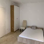 Rent 2 bedroom apartment of 46 m² in budapest