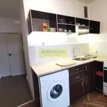 Rent 1 bedroom apartment of 28 m² in Zlín