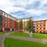 Rent 1 bedroom flat in Sheffield