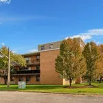 Rent 1 bedroom apartment in Sarnia