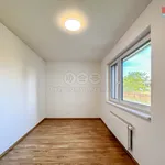 Rent 3 bedroom apartment of 73 m² in Praha