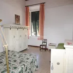 Rent 2 bedroom apartment of 60 m² in livorno