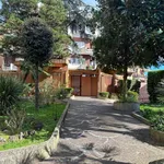 Rent 3 bedroom apartment of 100 m² in Roma