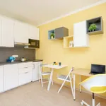 Studio o rozloze 20 m² v prague