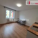 Rent 2 bedroom apartment of 34 m² in Prague