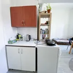 Rent 1 bedroom apartment of 27 m² in Brno